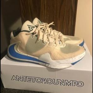 Nike Antetekounmpo Shoes